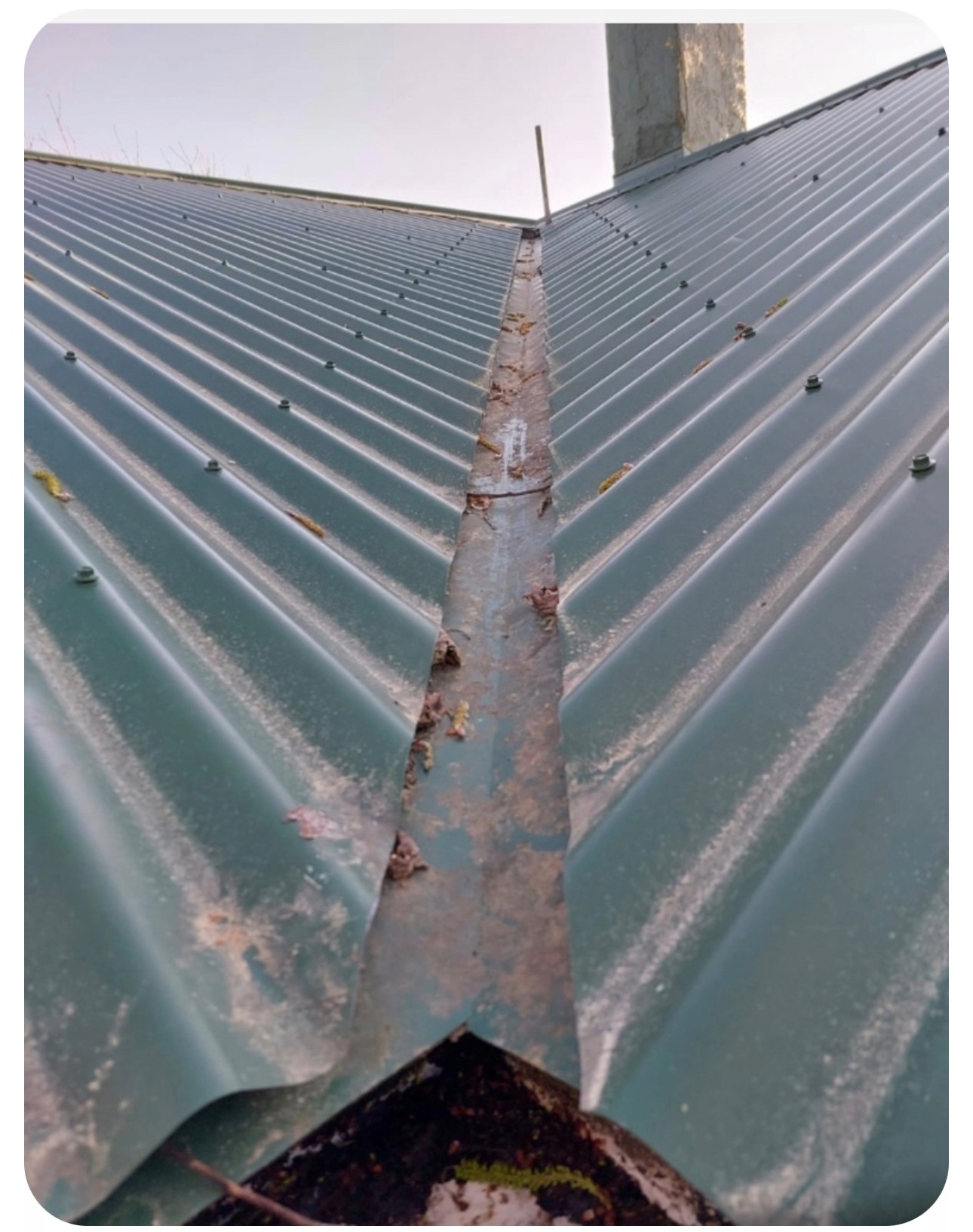 Adobe Express – file Adobe Express - file