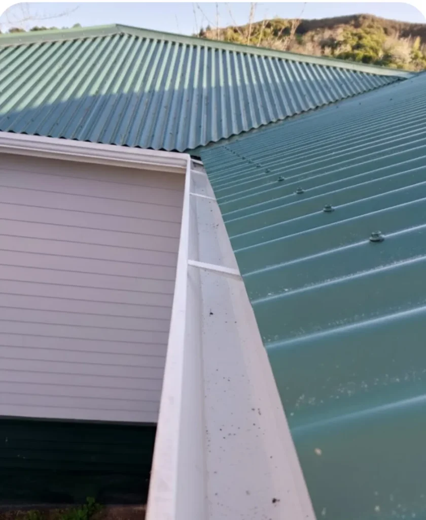 Cleaned spouting and gutter line for residential property care in Nelson